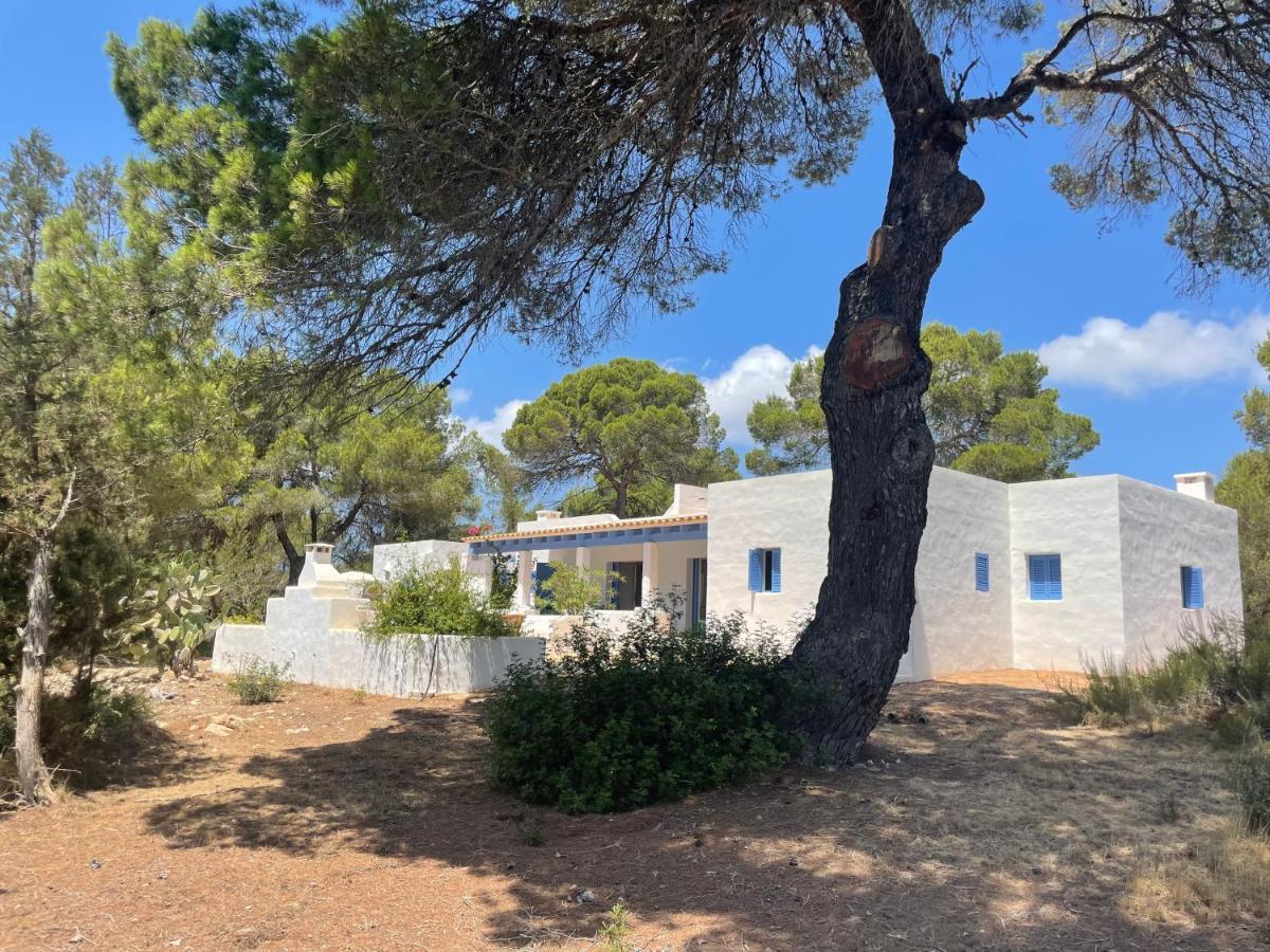 Sa Tanca Des Pla Villa San Francisco Javier Exterior photo